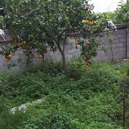 Con Giardino 펜션 *