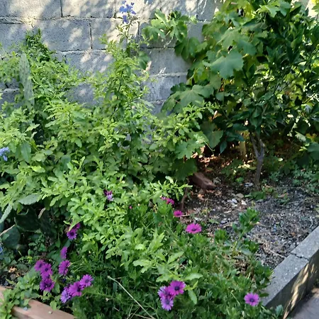 Con Giardino 펜션 *